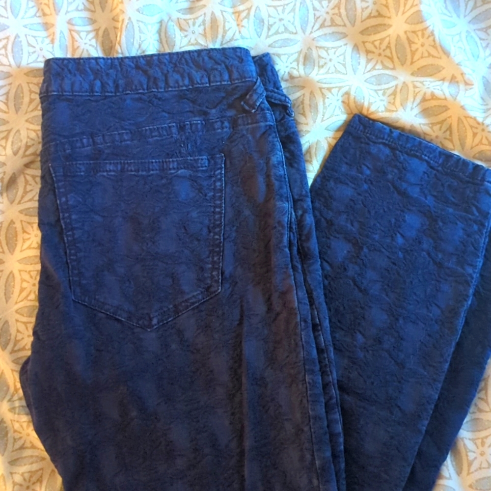 Free people pants